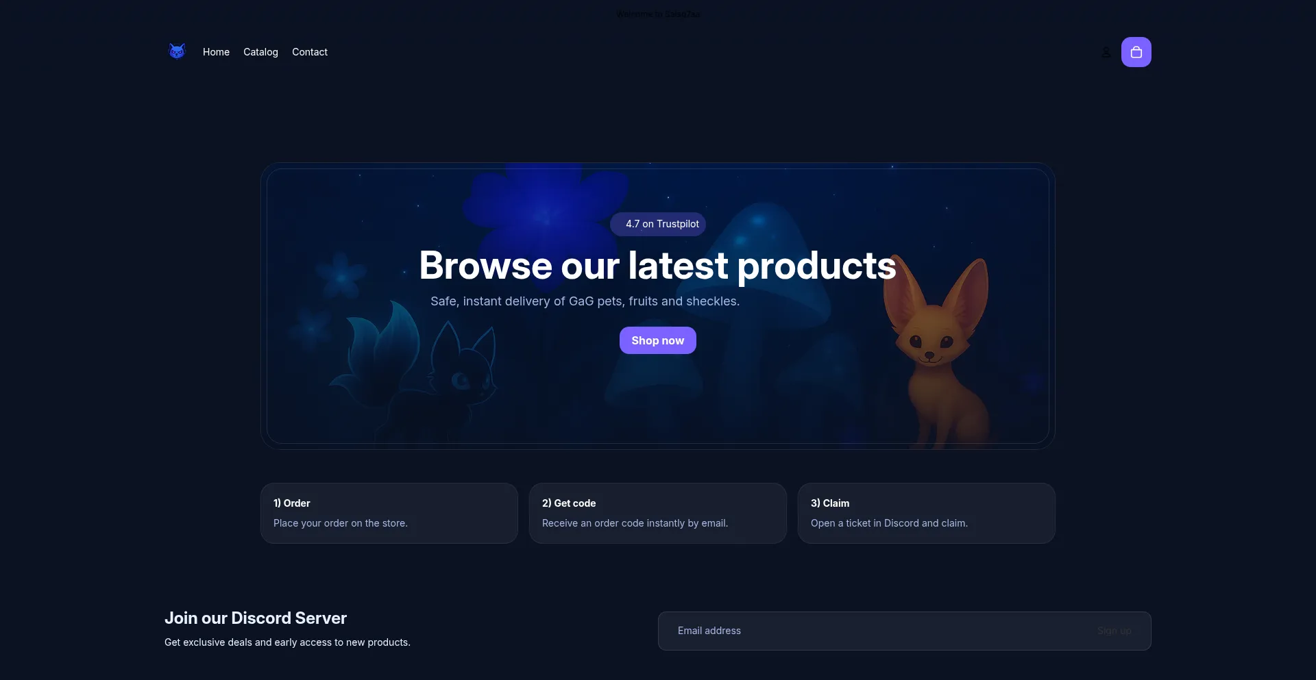 Salso7aa.com est-il Sûr et Fiable ?