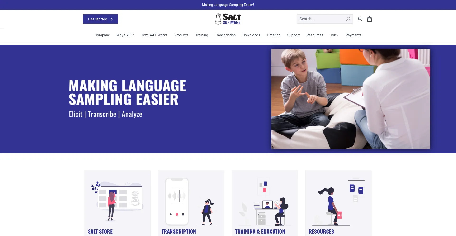 Website screenshot of Saltsoftware.com