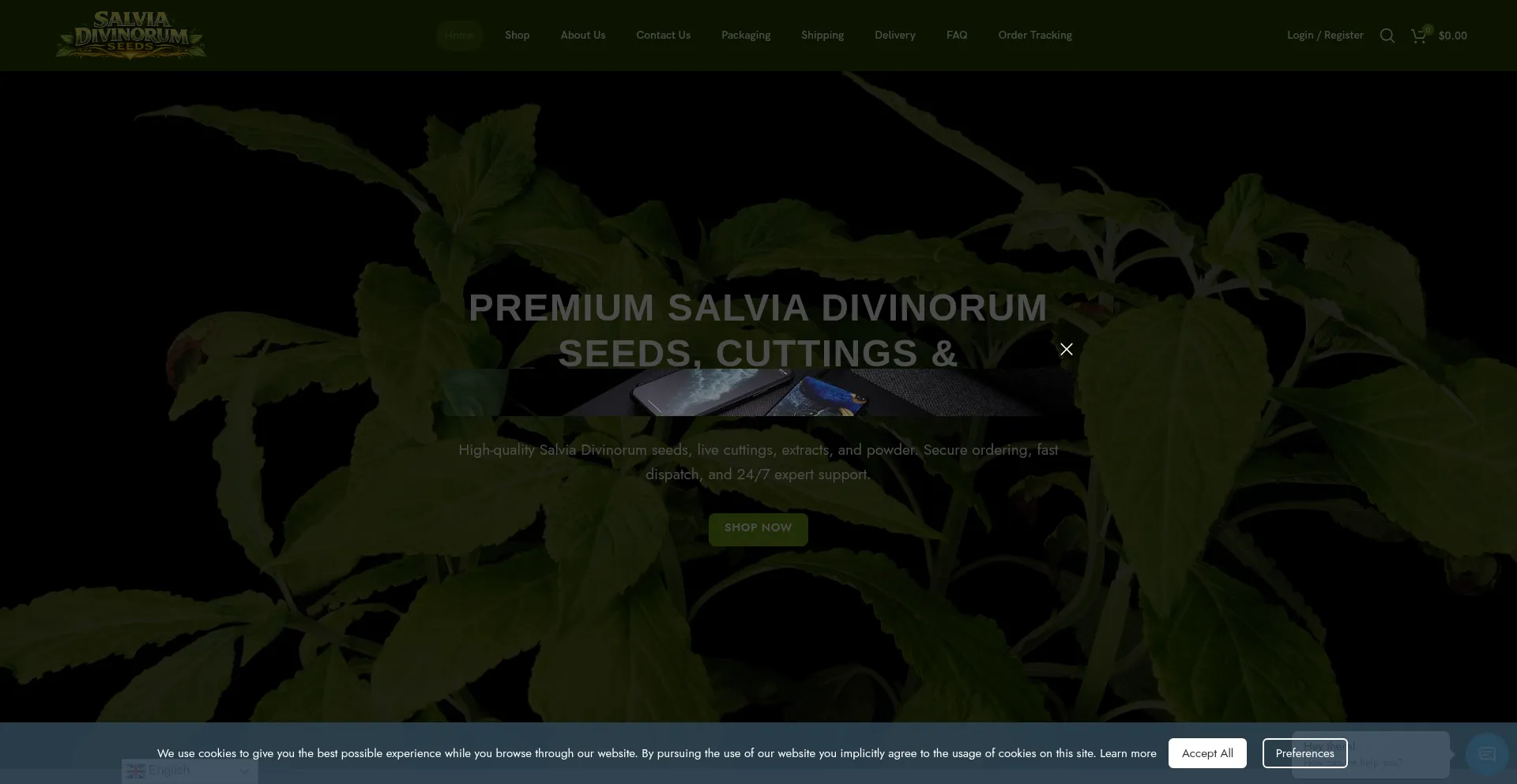 Salviadivinorumseeds.net