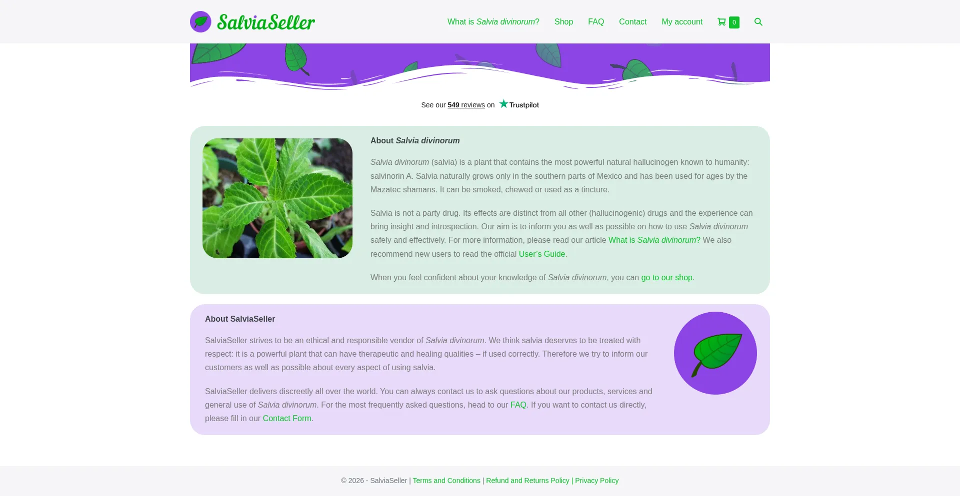 Salviaseller.com