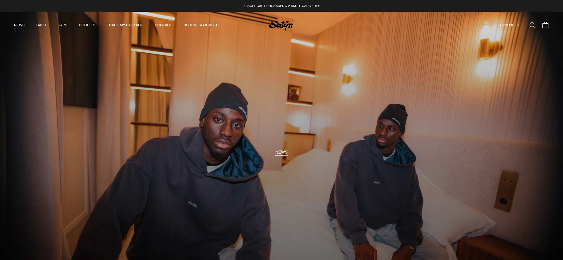 Website screenshot of Satyn.fr