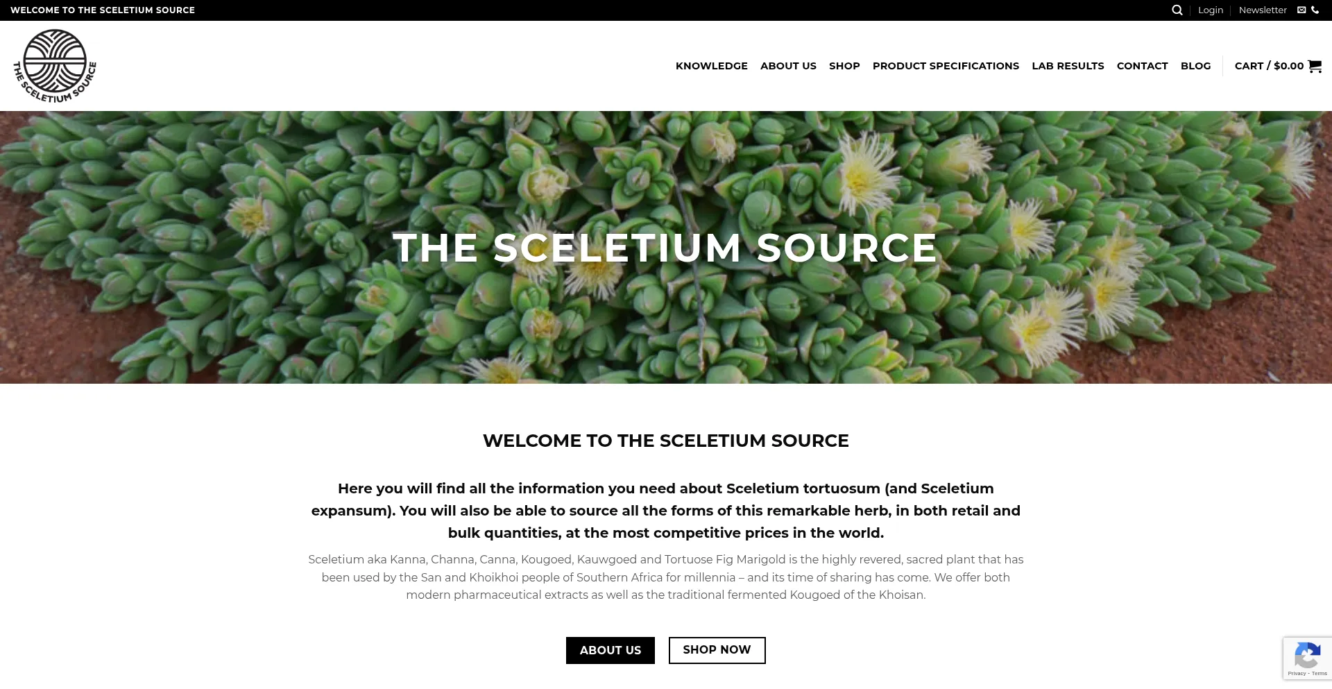 Website screenshot of Sceletium.com