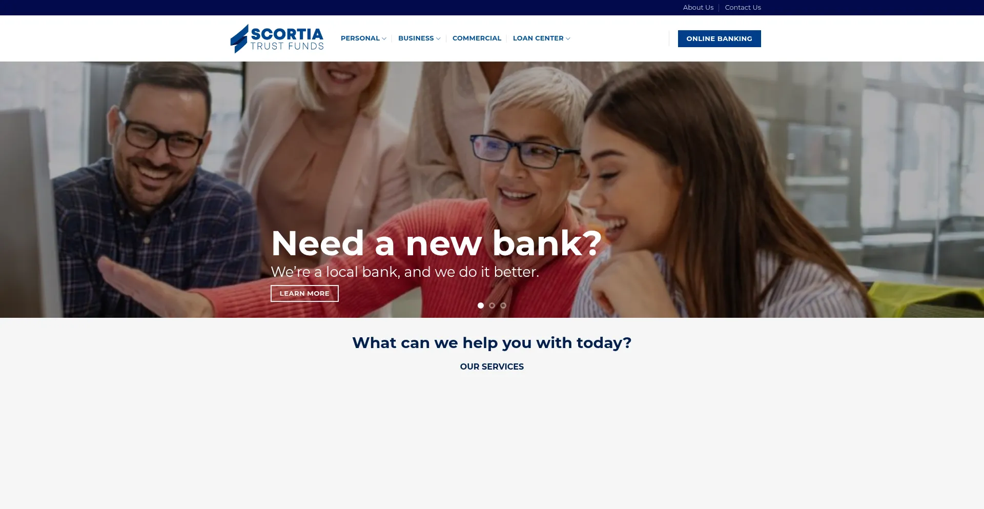 Website screenshot of Scortiatrustfund.com