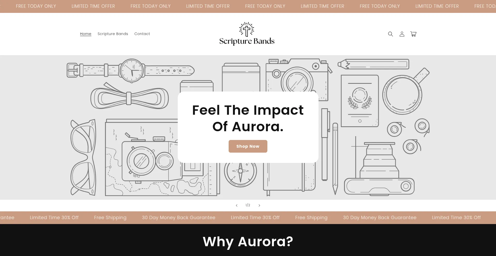 Website screenshot of Scripturebandsusa.com