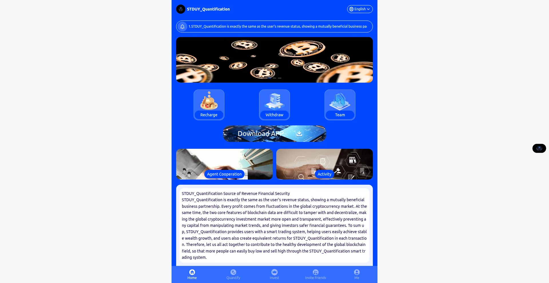 Website screenshot of Sduy.top