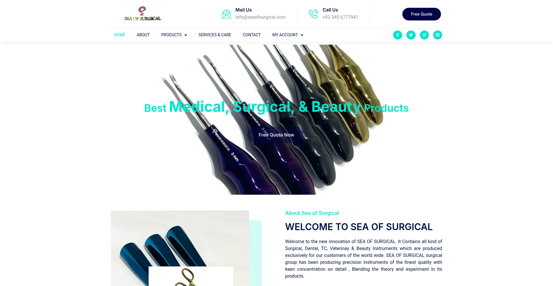 Seaofsurgical.com
