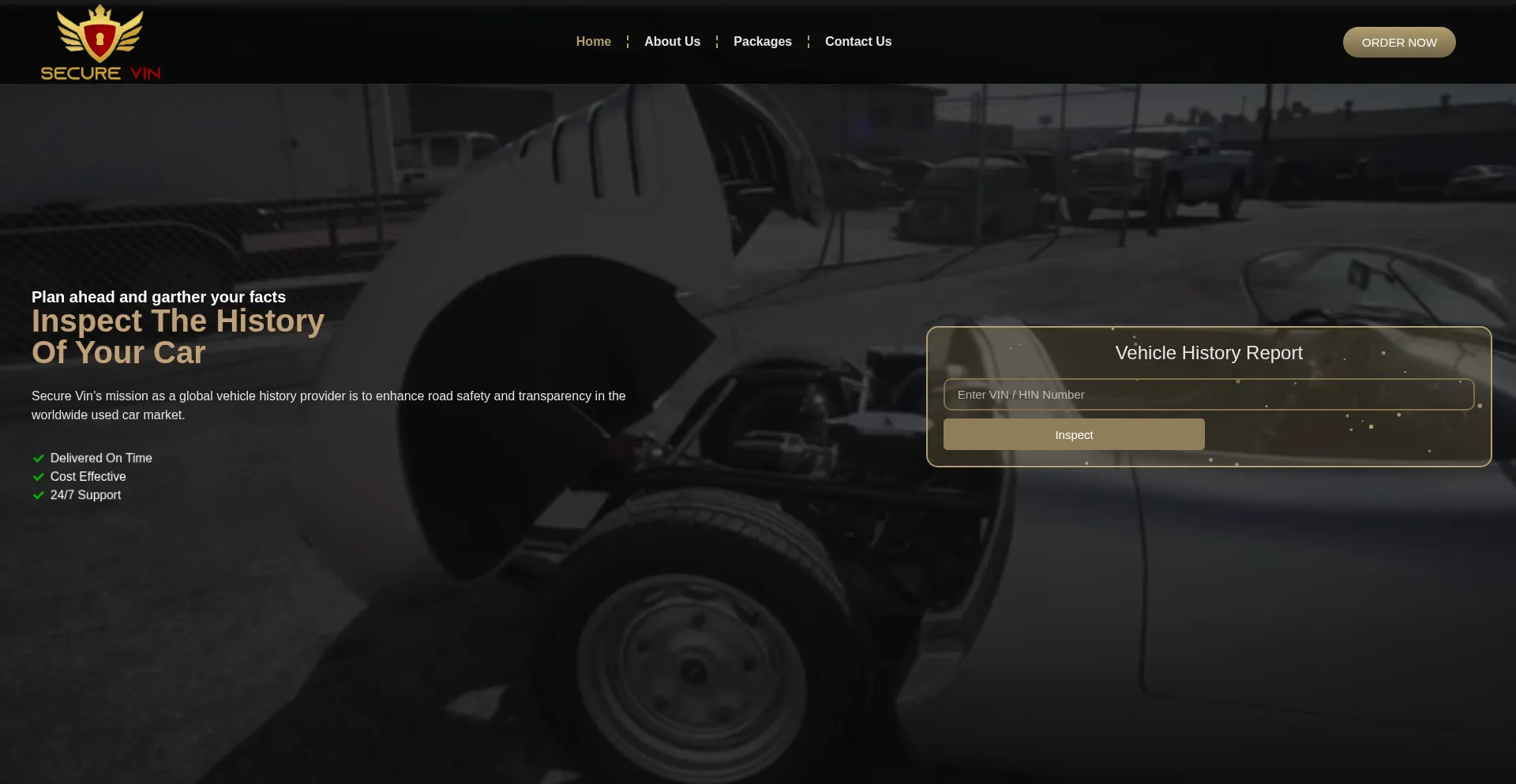 Website screenshot of Securevin.info