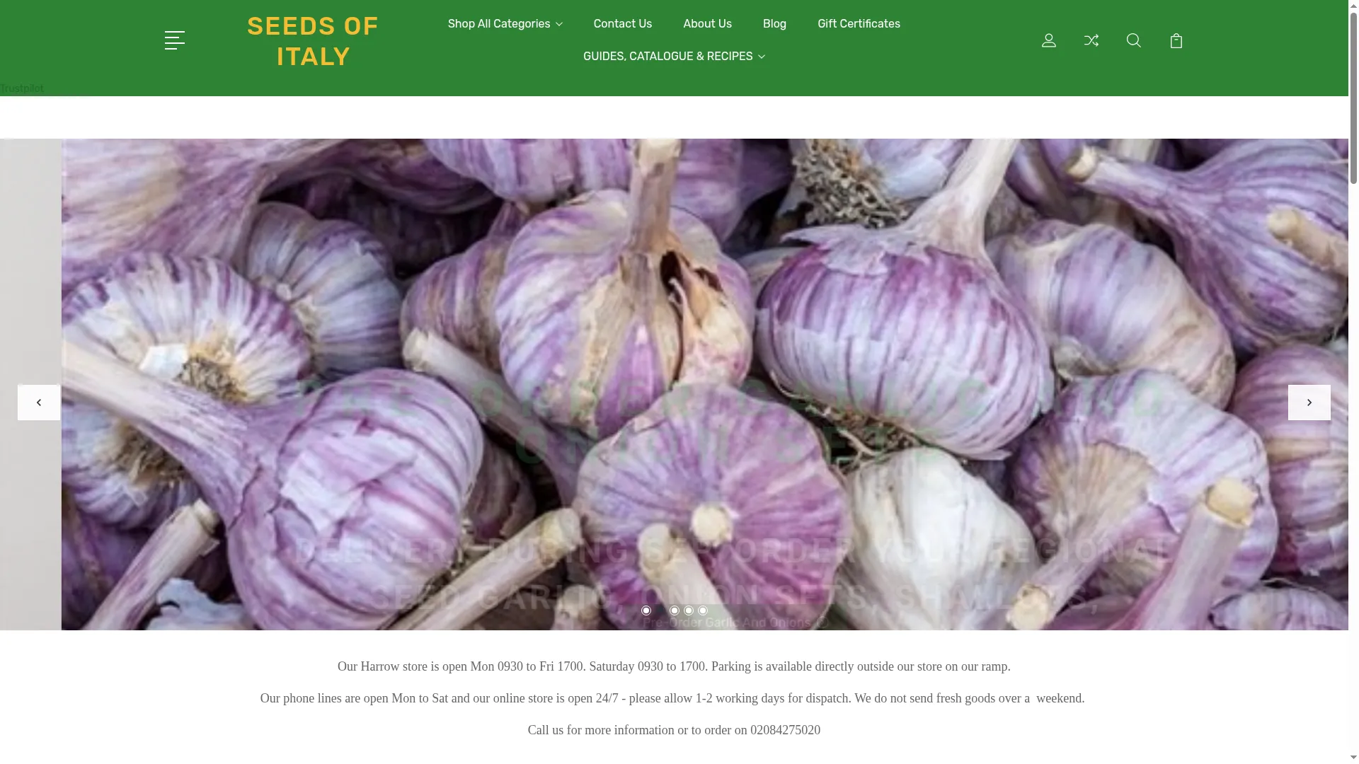 Seedsofitaly.com