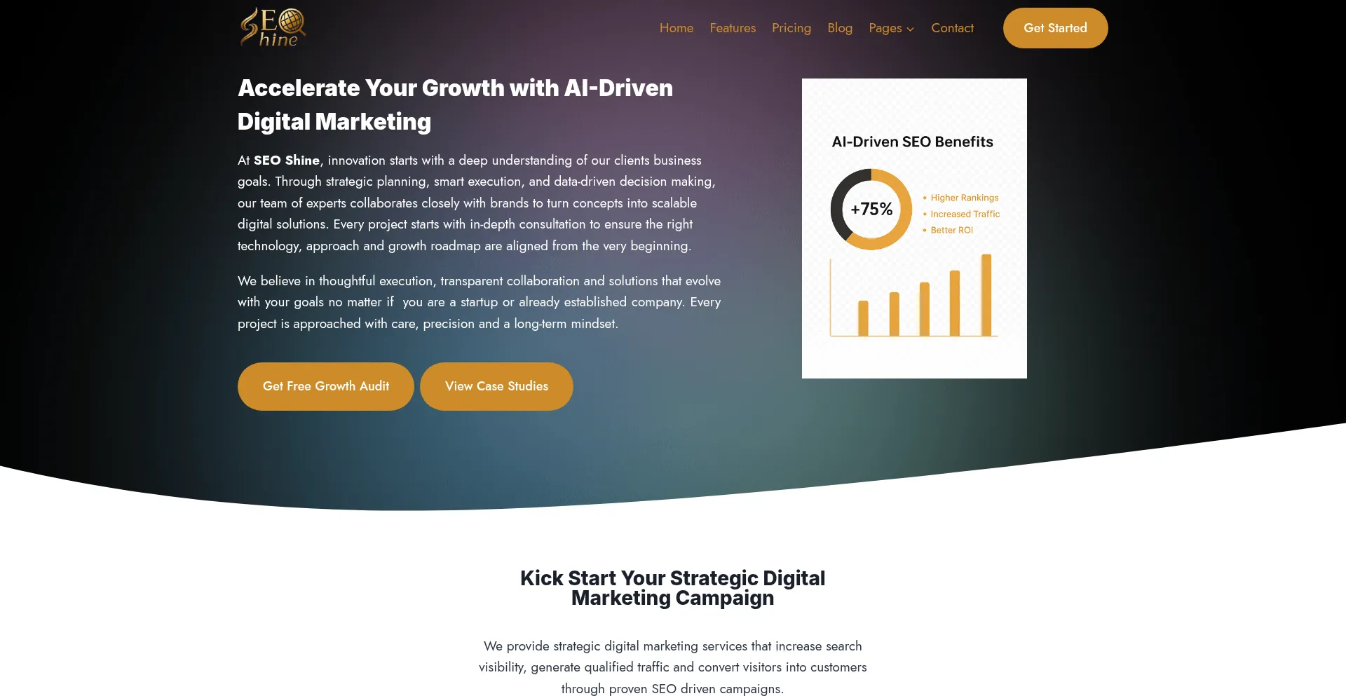 Seoshine.com