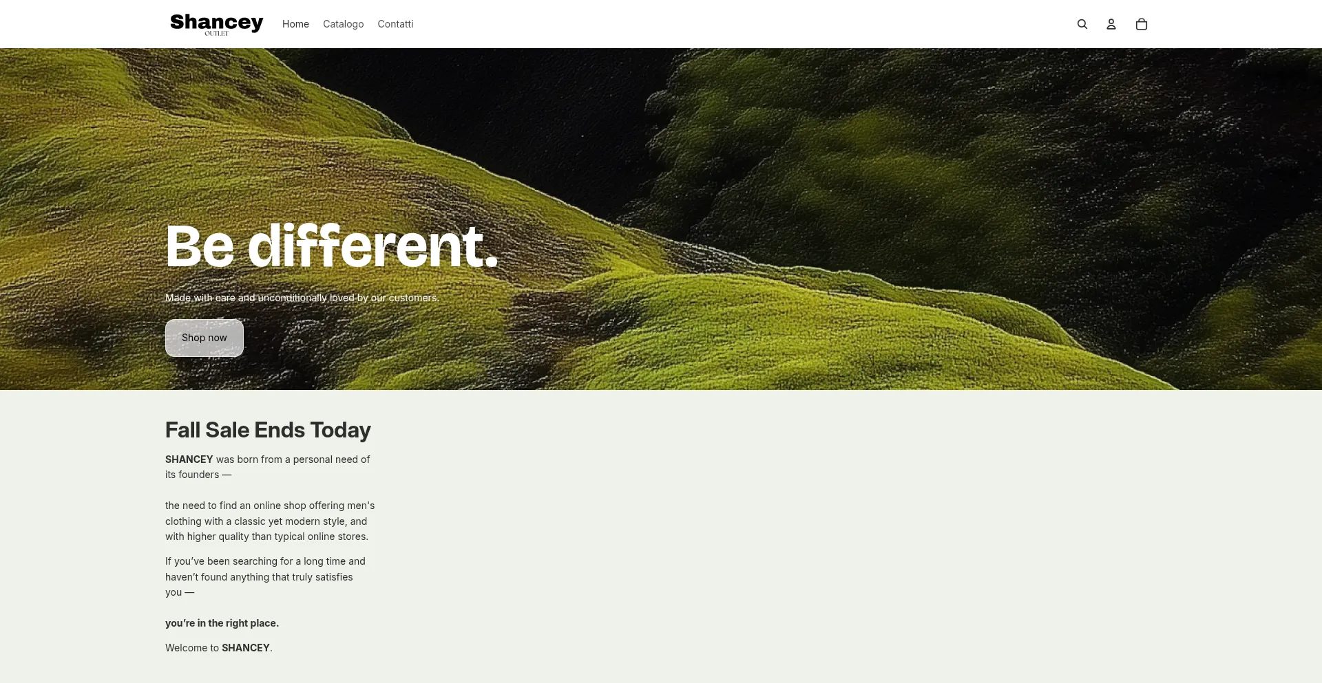 Website screenshot of Shancyoutlet.com