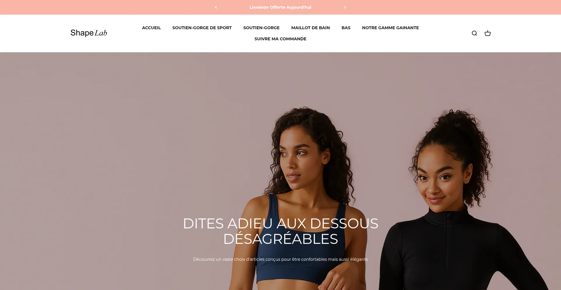 Website screenshot of Shapelab.fr
