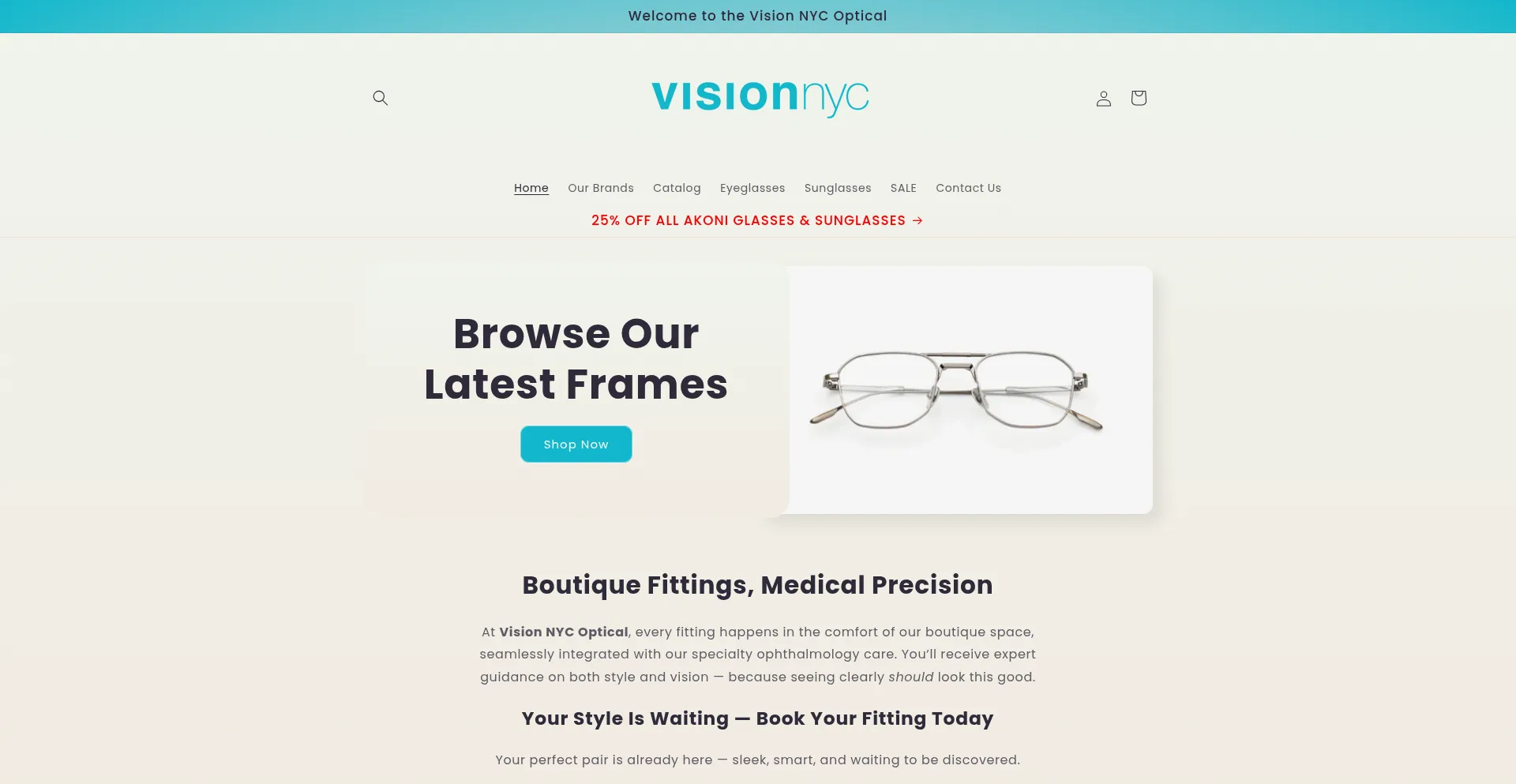 Shop.visionnyc.com