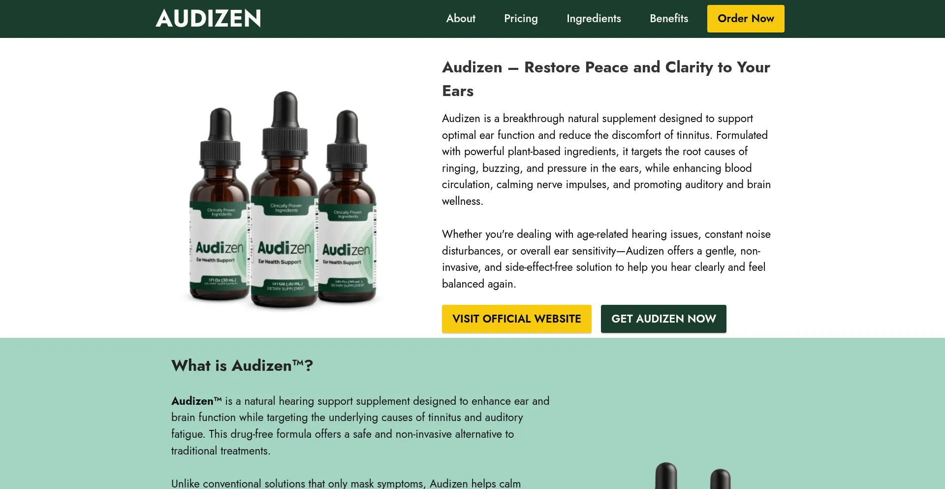 Shop-audizen.com Screenshot