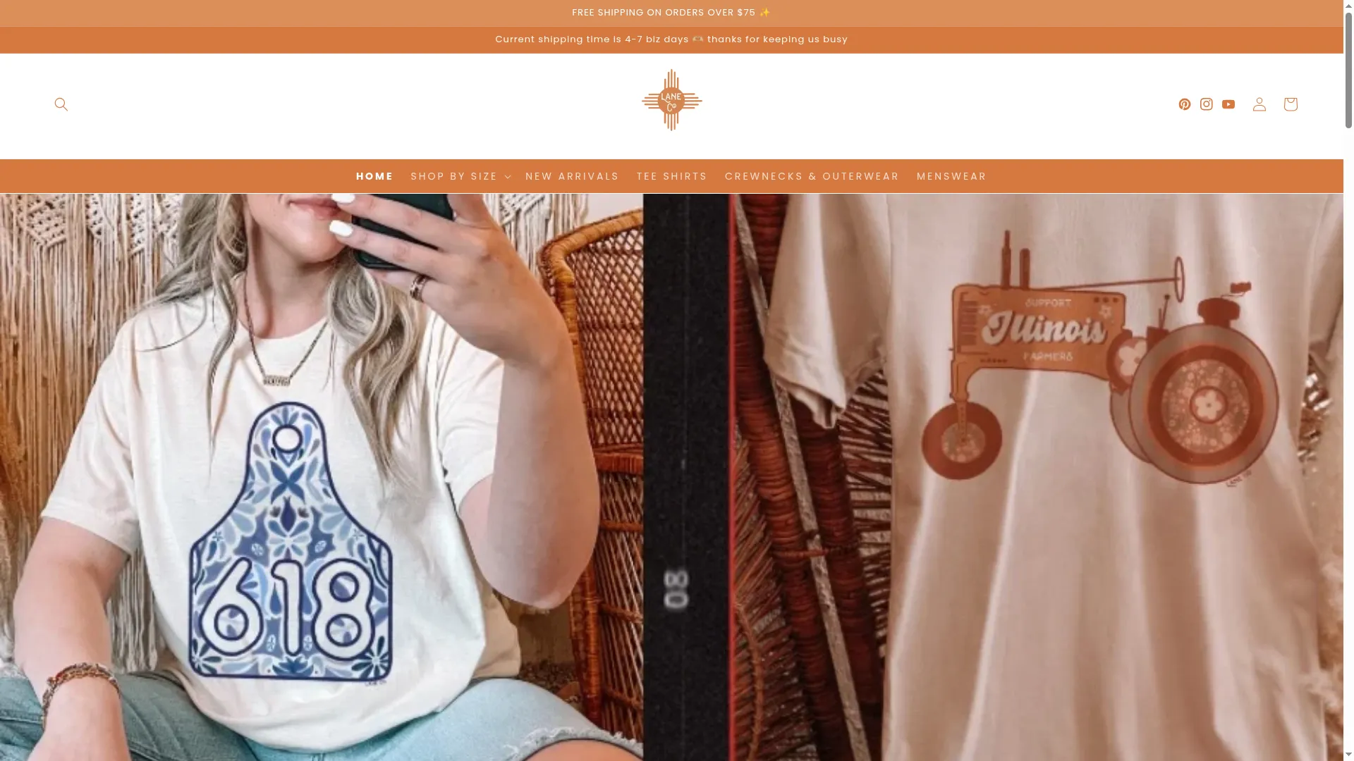 Shoplaneco.com