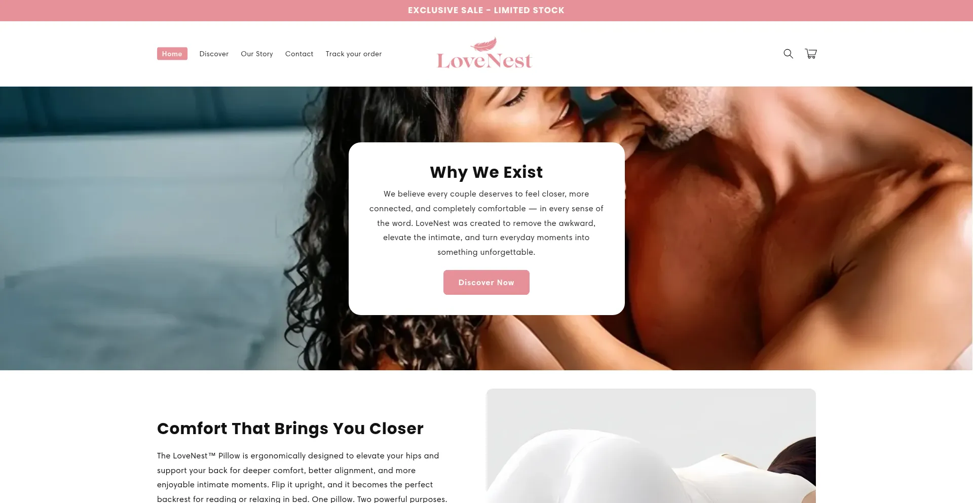 Website screenshot of Shoplovenest.com