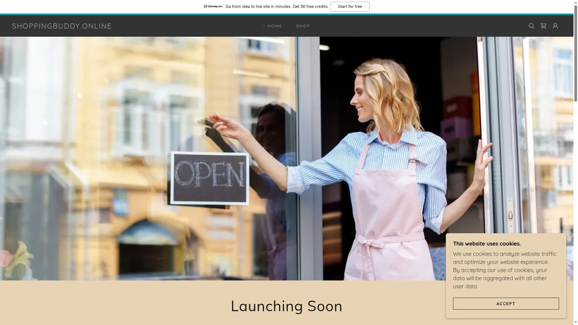 Shoppingbuddy.online