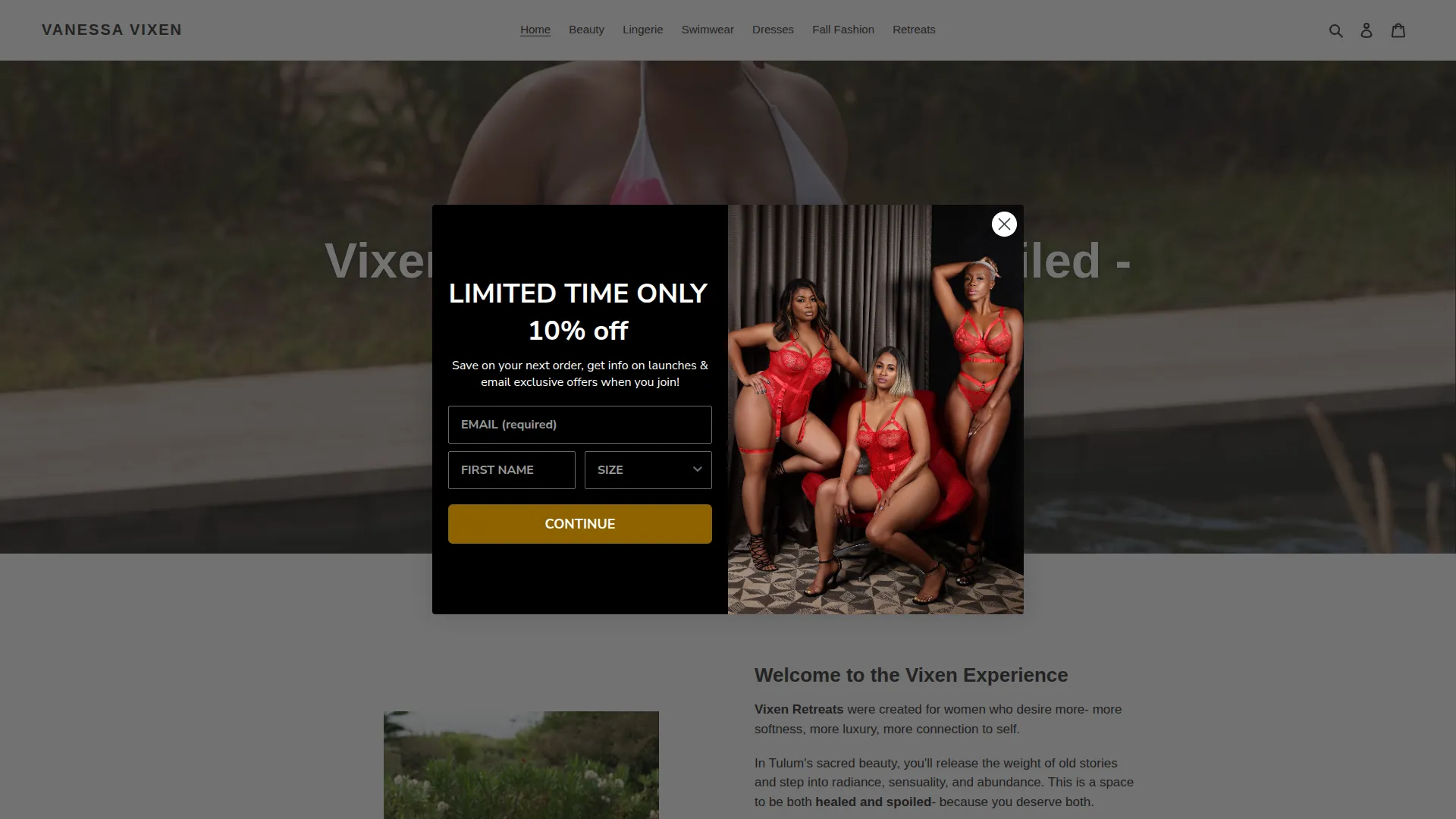 Shopvanessavixen.com