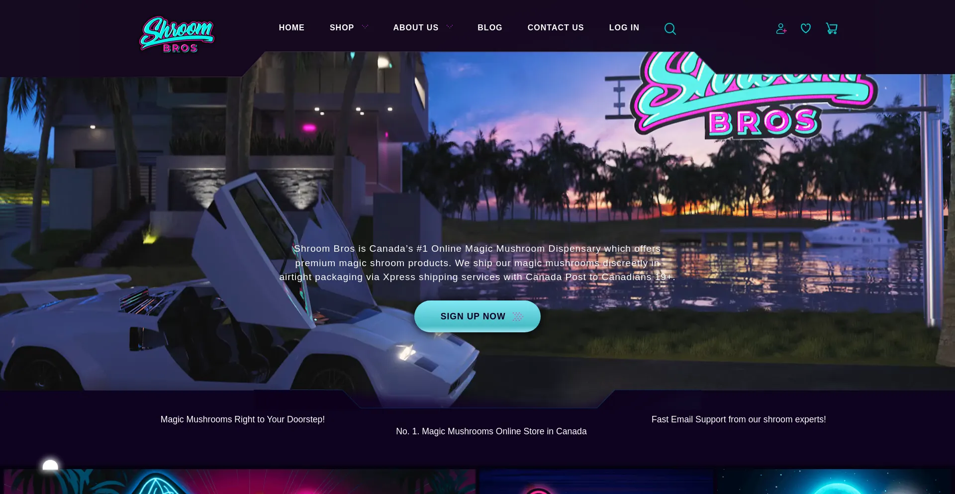 Website screenshot of Shroombros.co