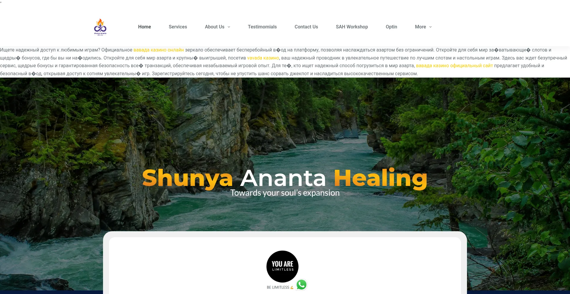 Shunyaanantahealing.com