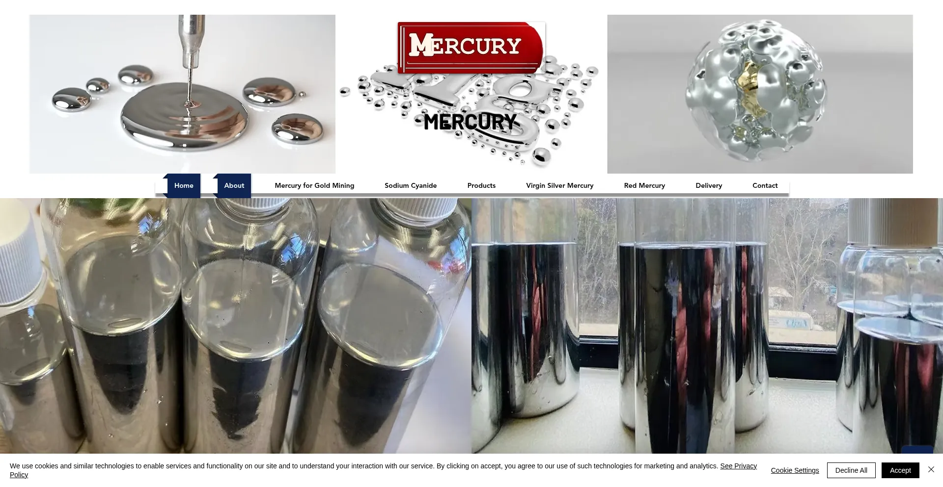 Silvermercuryhg.com