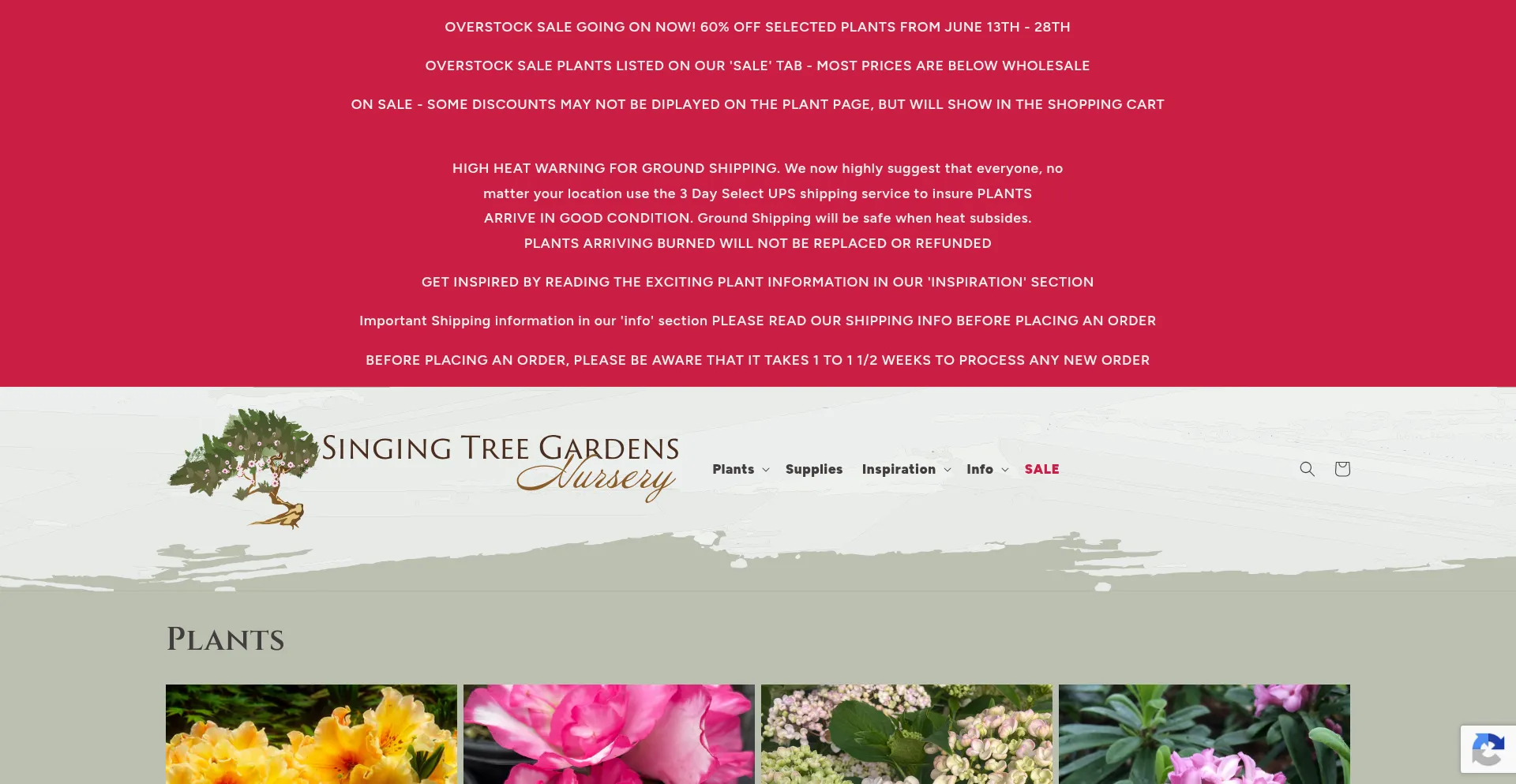 Singtree.com