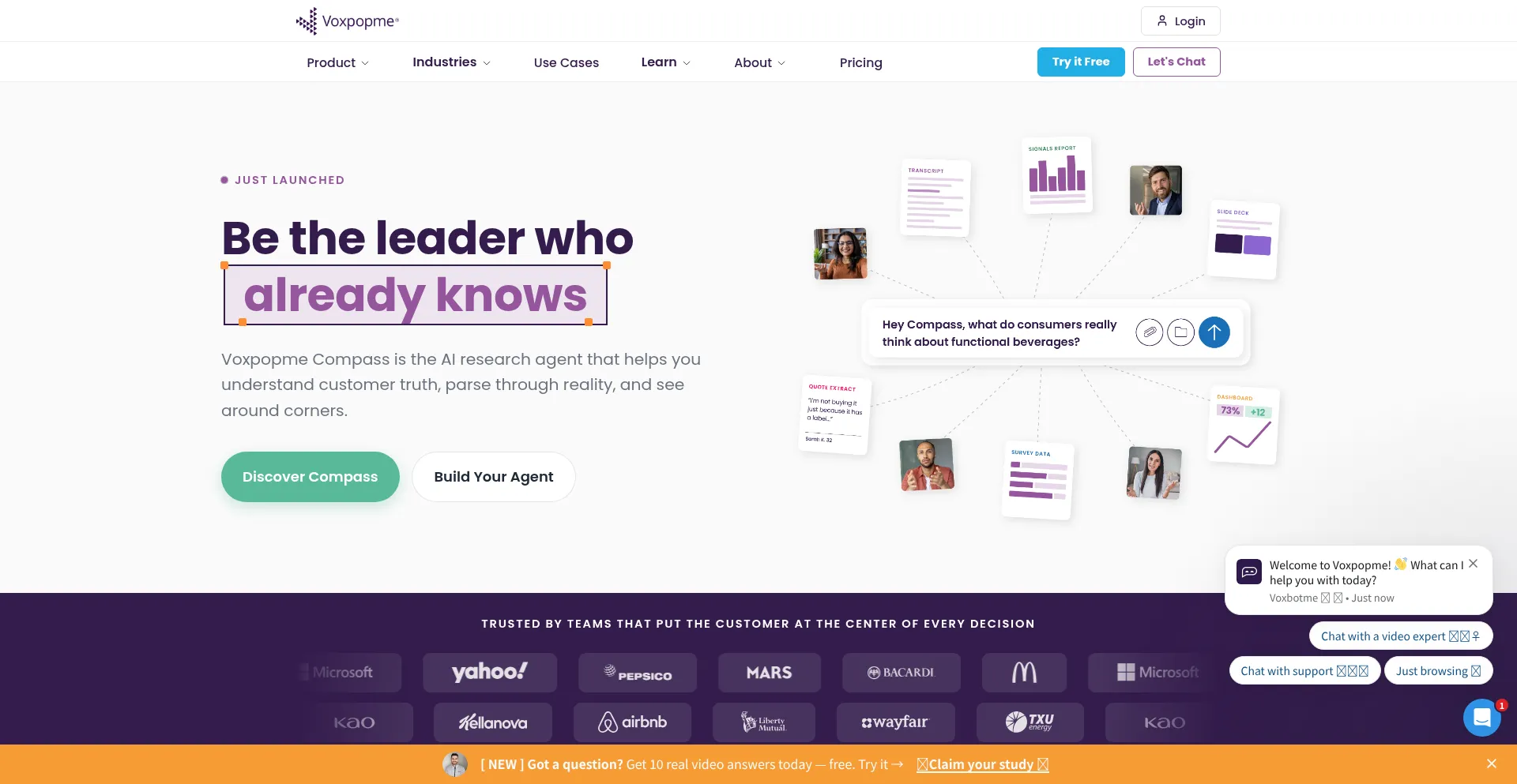 Site.voxpopme.com
