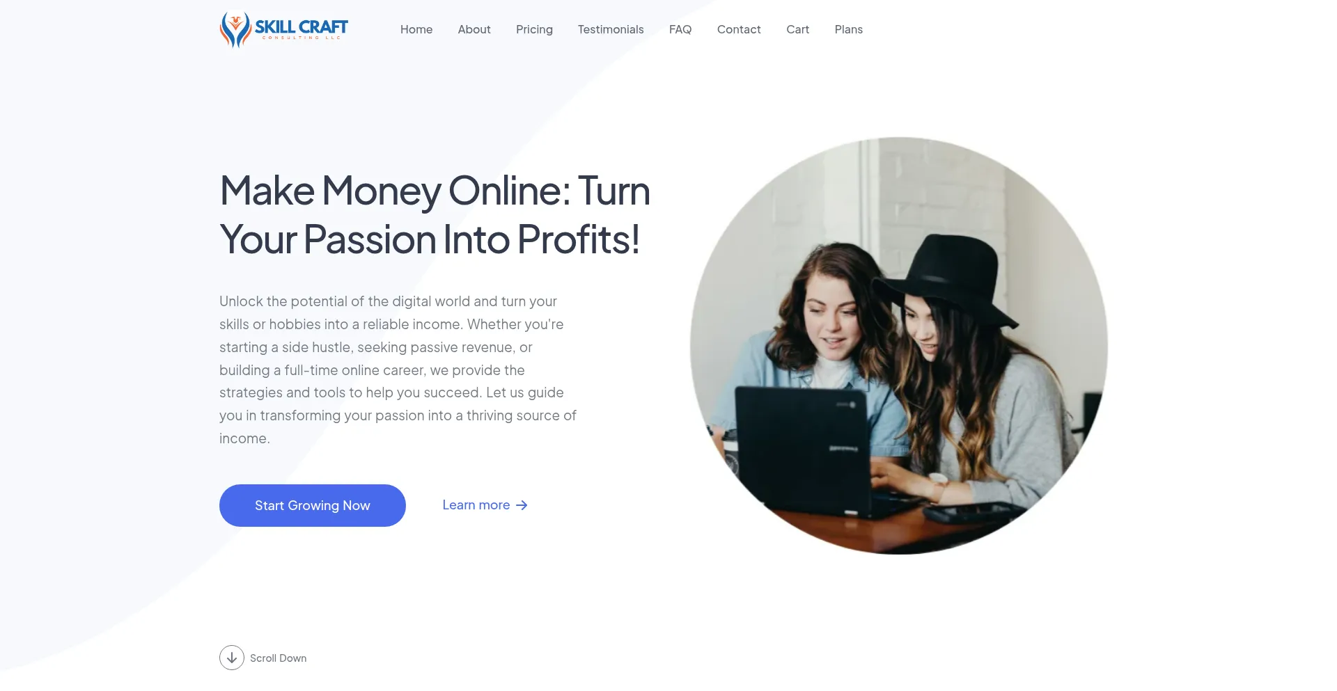 Website screenshot of Skillcraftconsultingllc.com