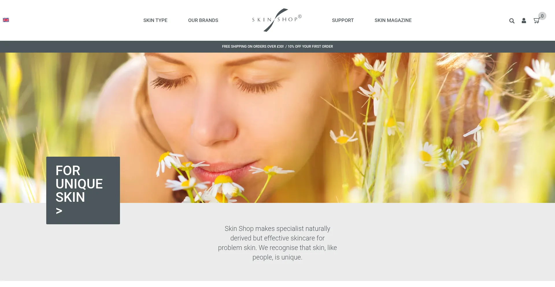 Website screenshot of Skinshop.co.uk