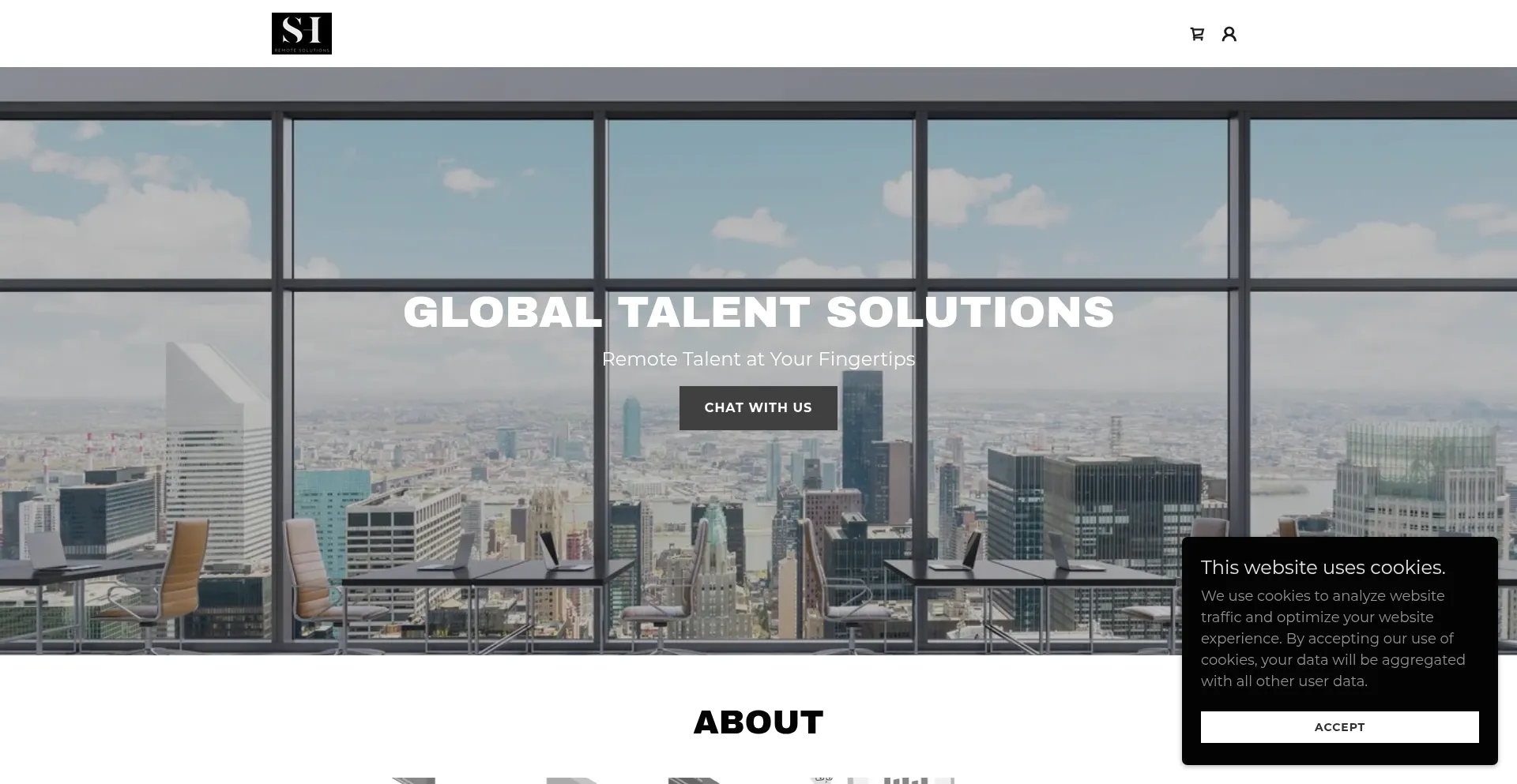 Website screenshot of Skyhire.io