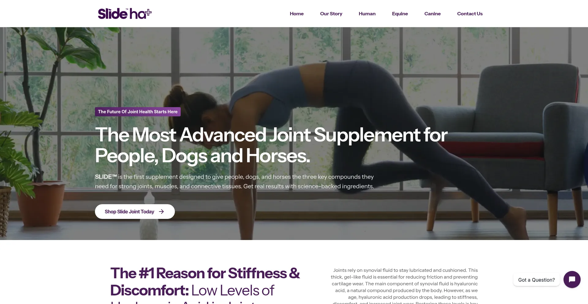 Slidejointcare.com est-il Sûr et Fiable ?