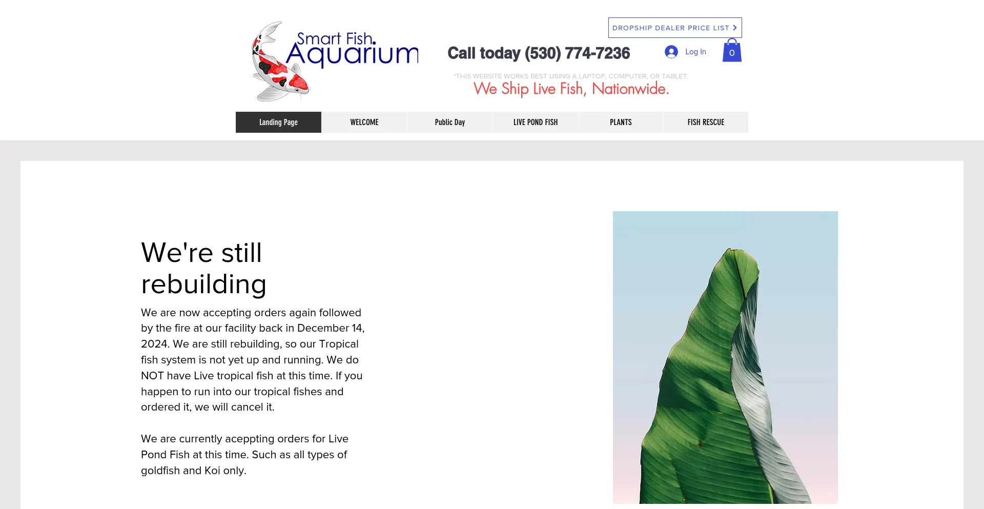 Smartfishaquarium.com