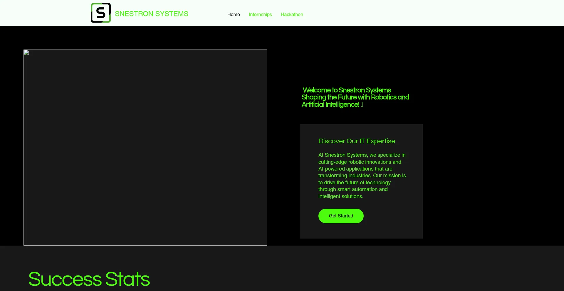 Website screenshot of Snestronsystems.com