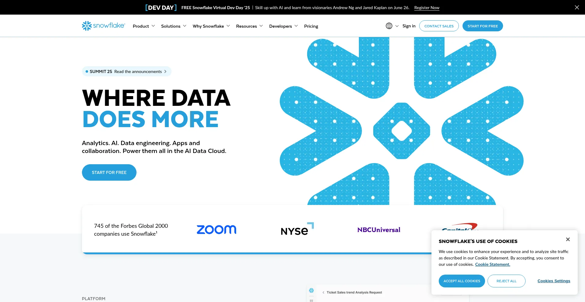 Website screenshot of Snowflake.net