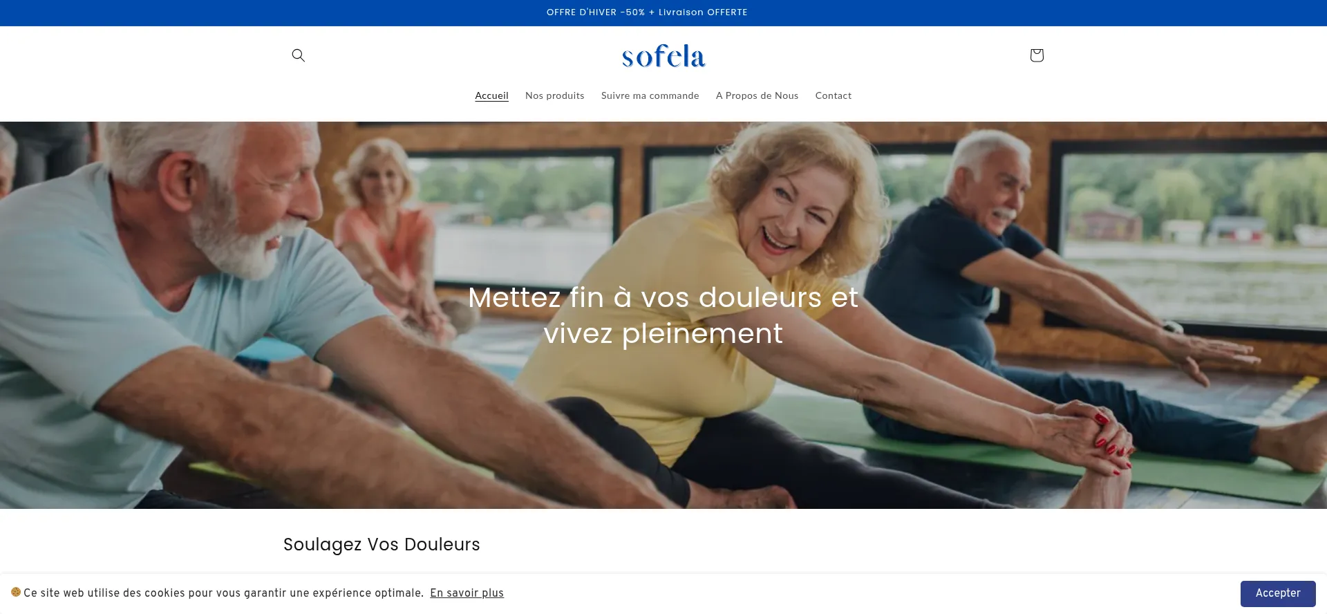 Website screenshot of Sofelaofficiel.com