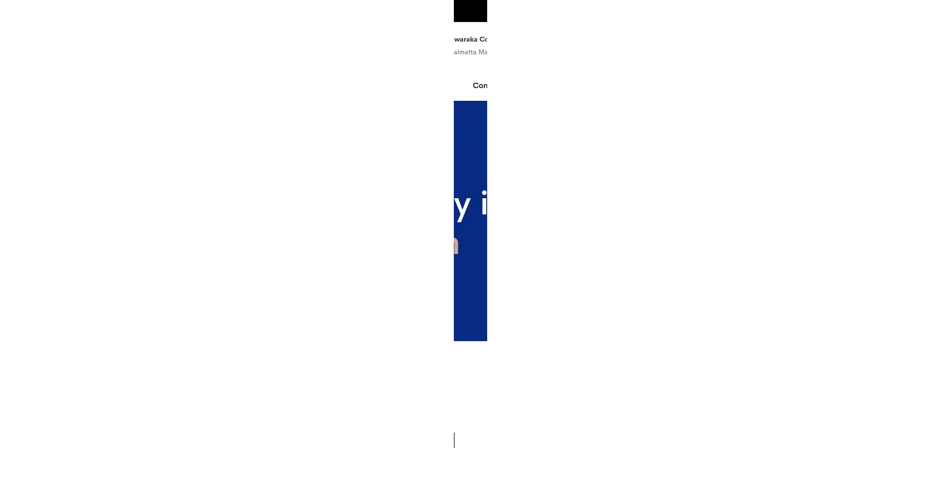 Website screenshot of Softionik.com