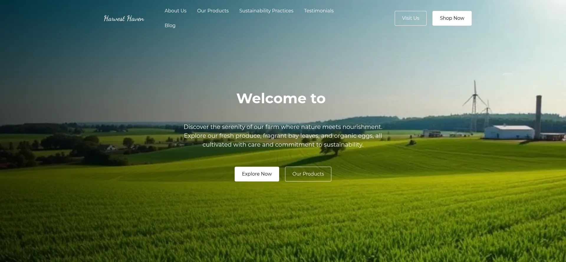 Website screenshot of Soilpkind.store