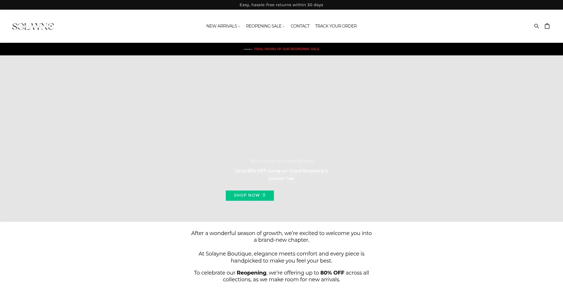 Website screenshot of Solayneboutique.com