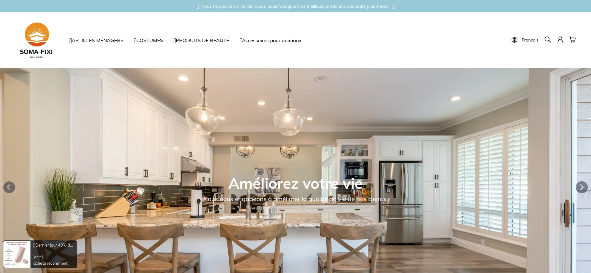 Website screenshot of Soma-fixi.fr
