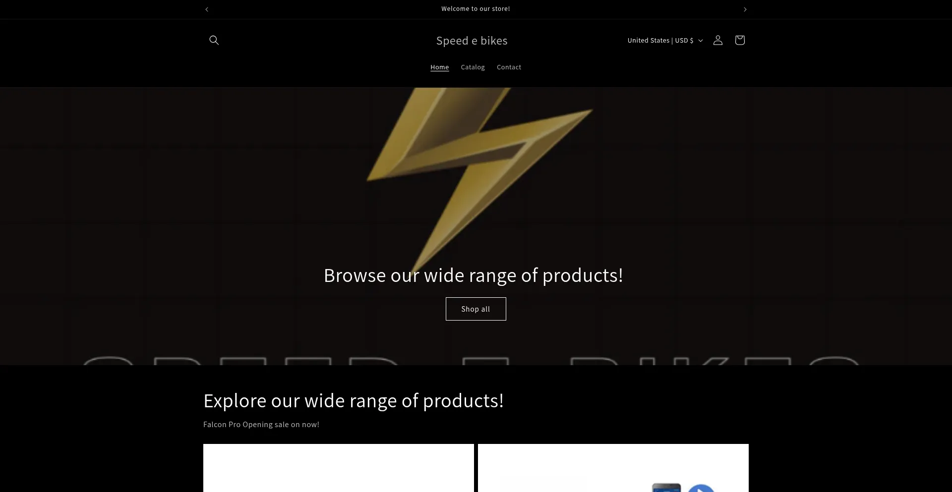 Website screenshot of Speedelectric.co