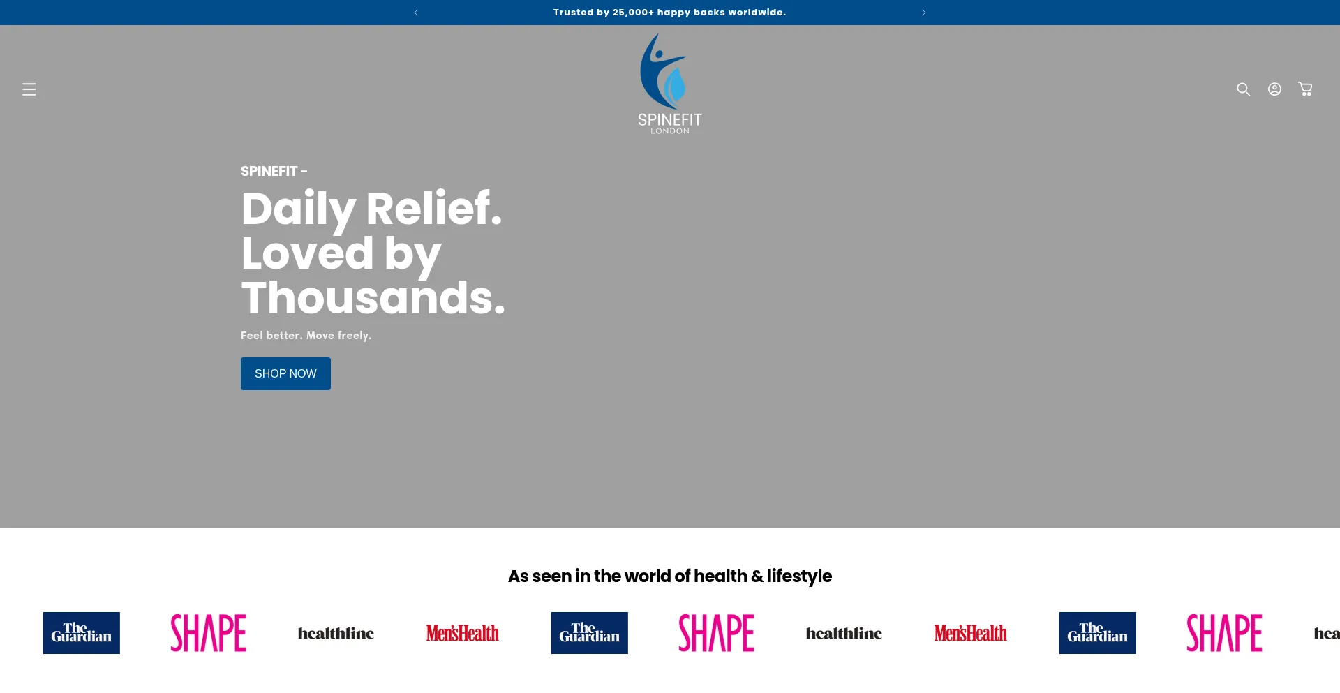 Website screenshot of Spinefitlondon.com
