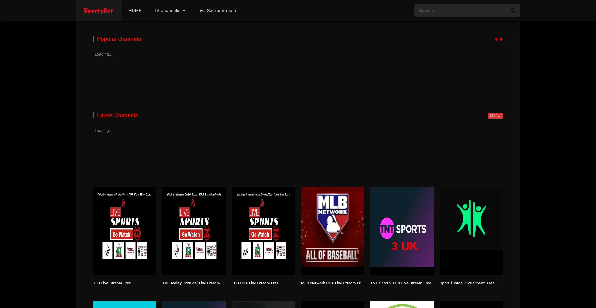 Website screenshot of Sportybet.top