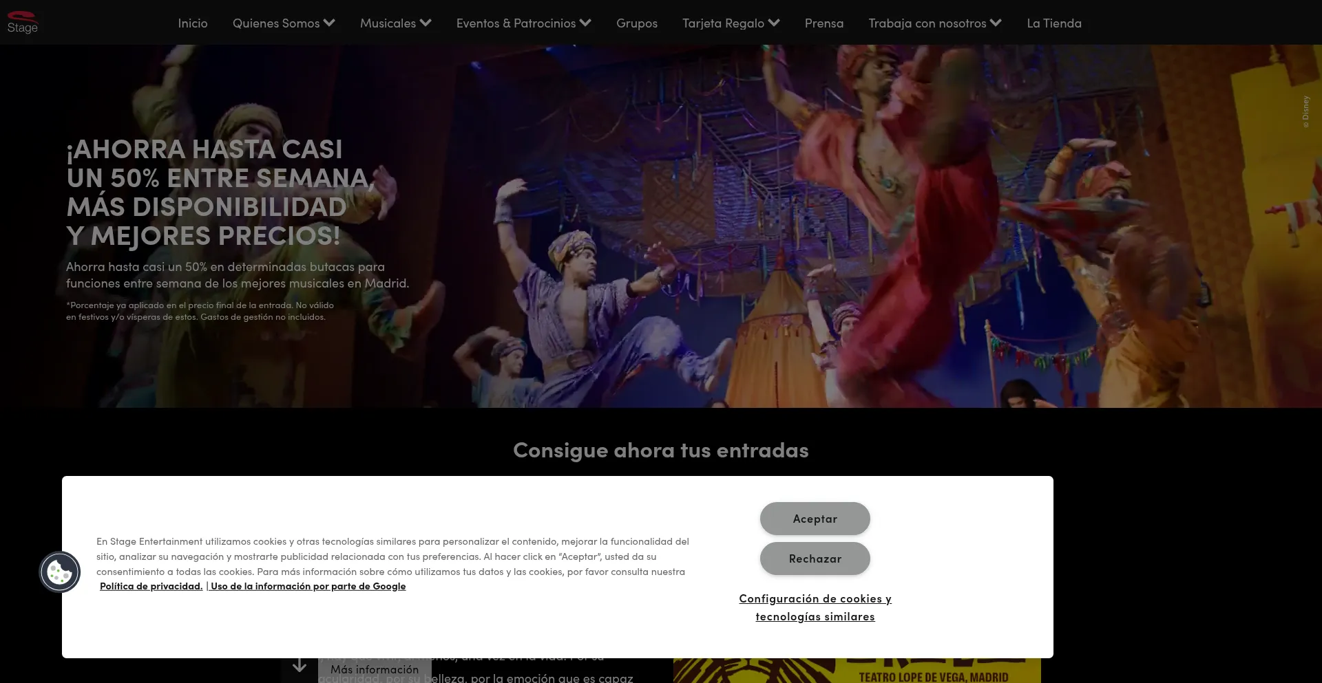 Website screenshot of Stage.es
