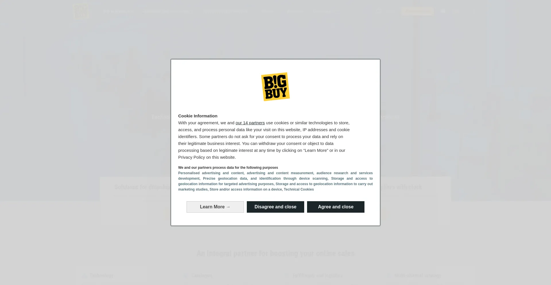 Website screenshot of Staging.bigbuy.eu