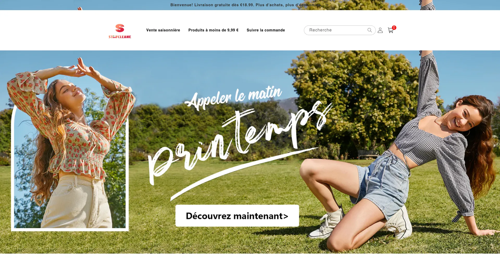 Website screenshot of Staycleane.com