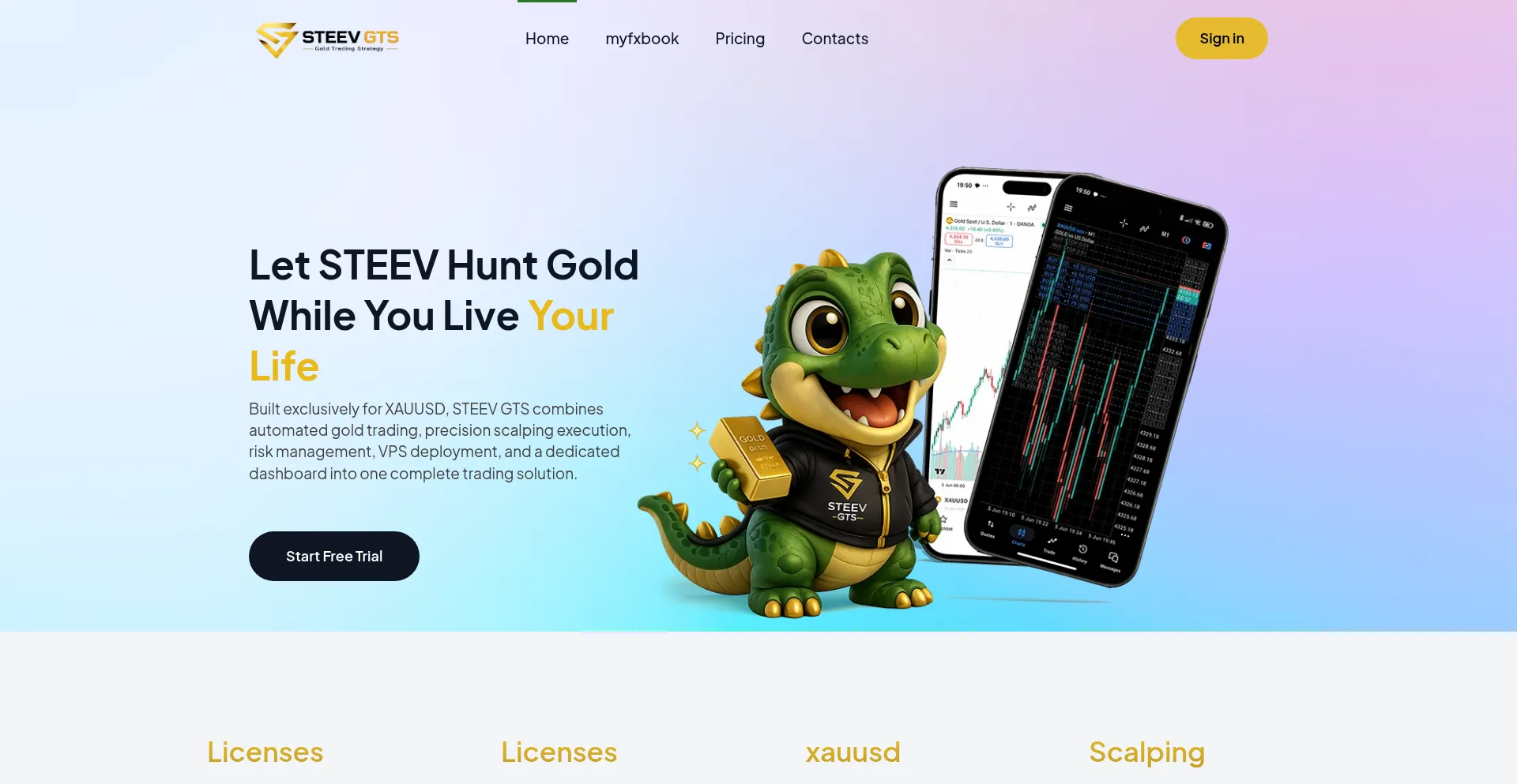 Steevgts.com
