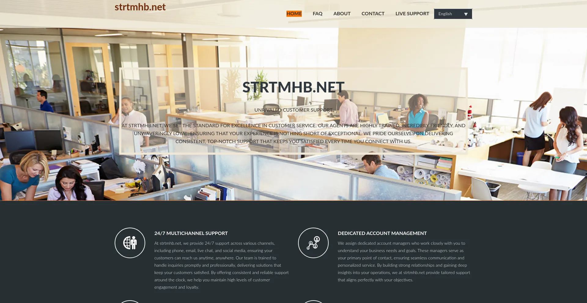 Website screenshot of Strtmhb.net