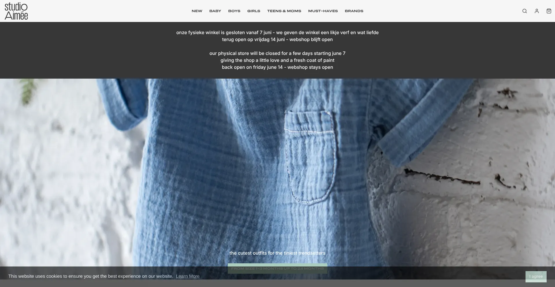 Website screenshot of Studioaimee.com
