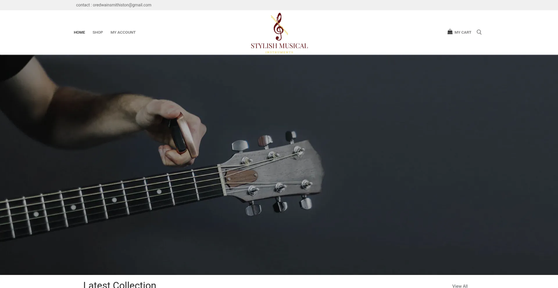 Stylishmusicalinstruments.com