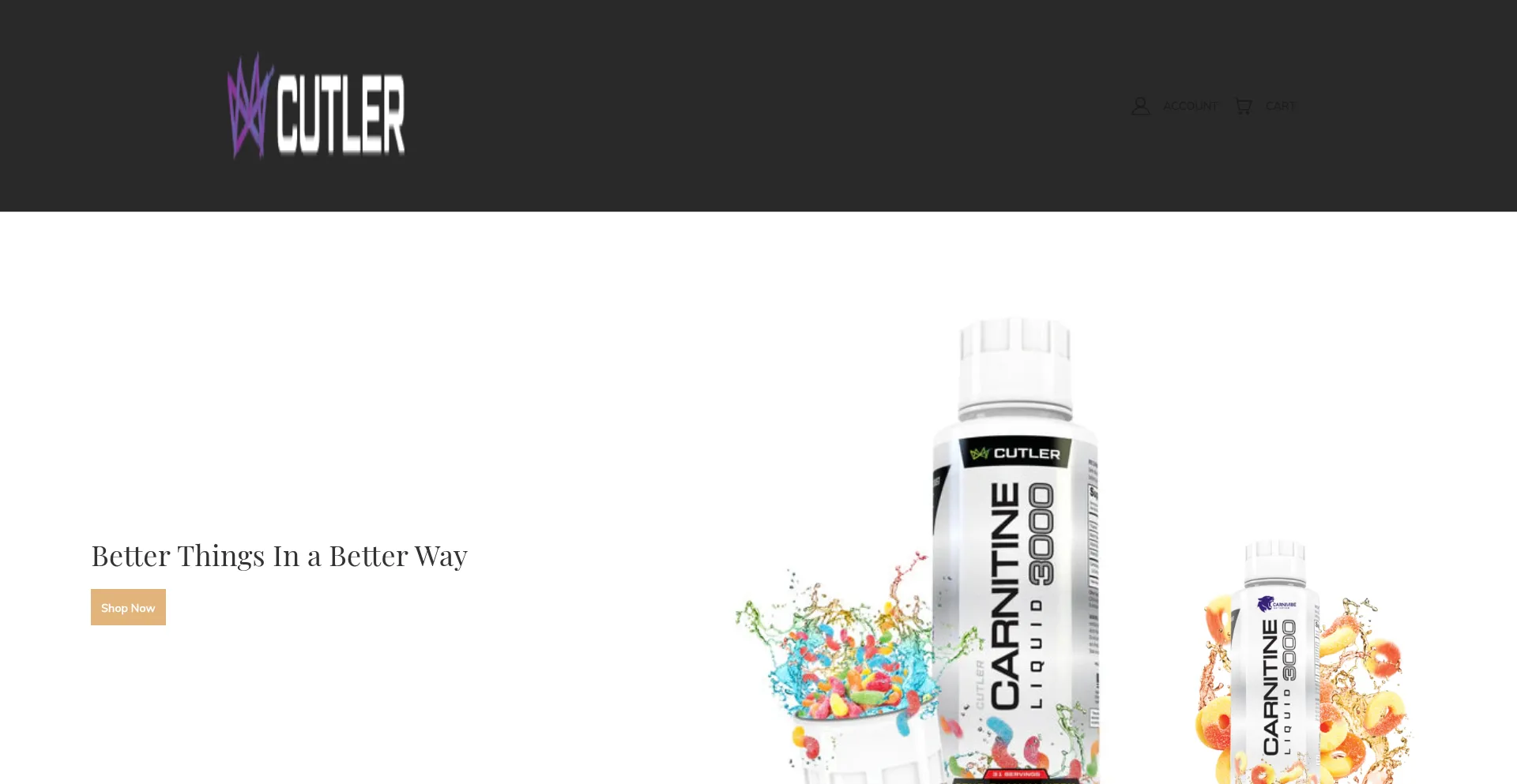 Website screenshot of Susnen.shop