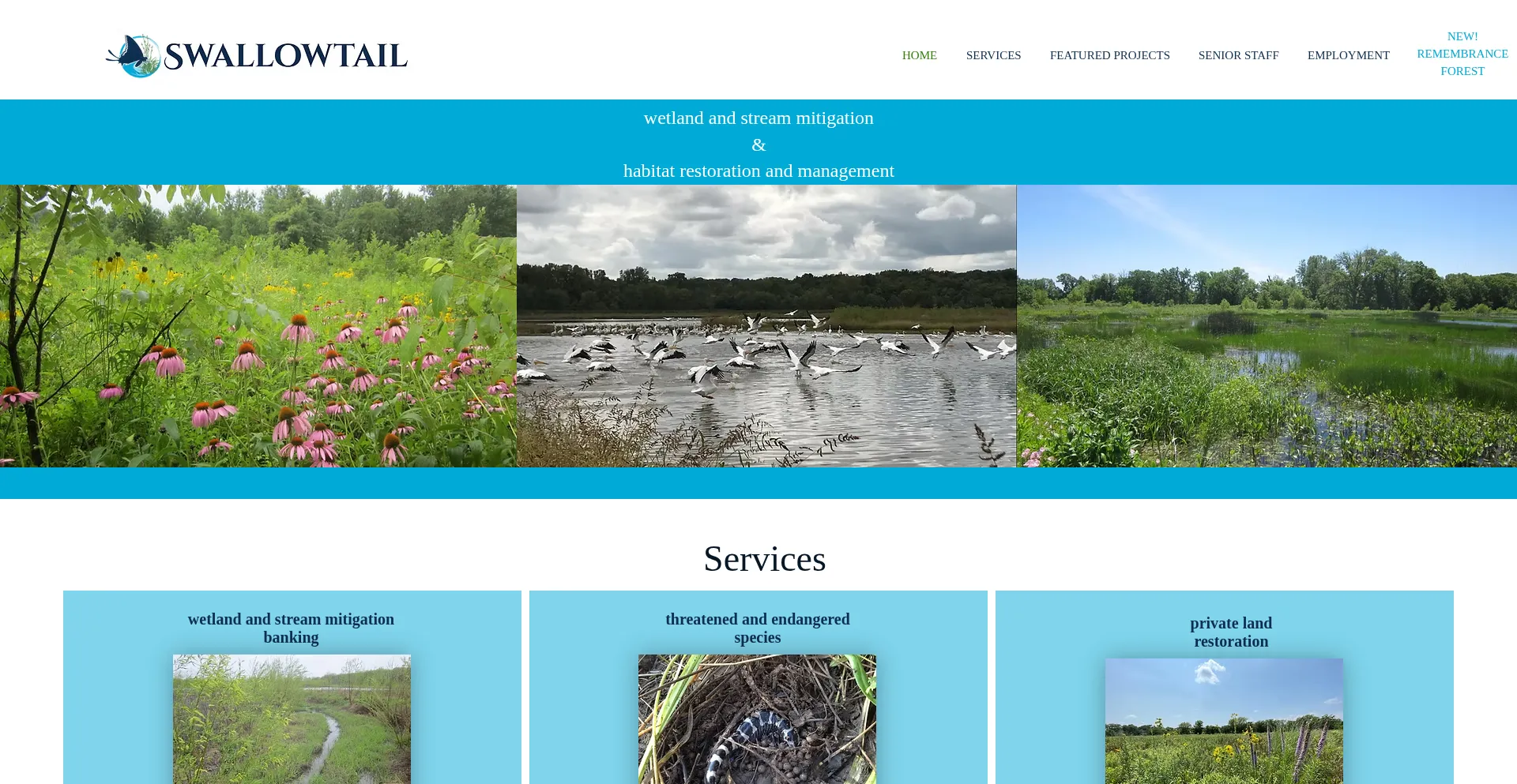 Website screenshot of Swallowtailenvironmental.com